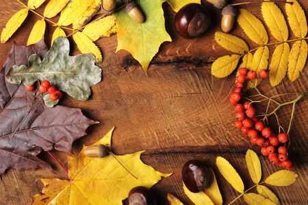 Frame of Autumn maple leaves on aged wood with copy space. Mockup for seasonal offers and holiday post card, top view.の写真素材