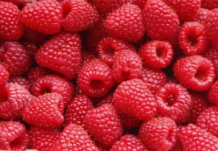 A lot of a tasty juicy raspberryの写真素材