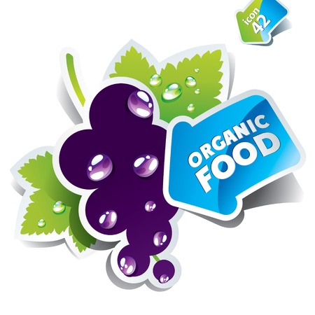 Icon currant with arrow by organic food. Vector illustrationのイラスト素材