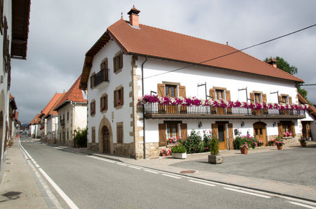 Camino de Santiago from Roncesvalles to Zubiriの写真素材