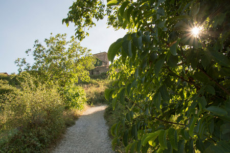 Camino de Santiago Zubiri to Pamplona