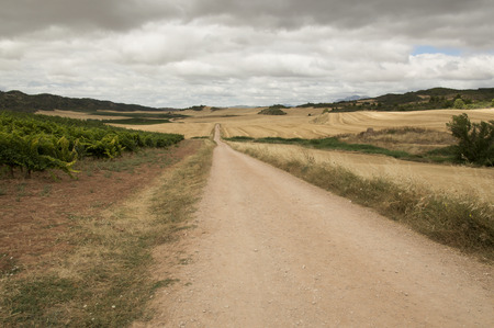 Road to Santiago from Estella to Los Arcosの写真素材