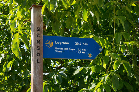 Road to Santiago from Los Arcos to Logroñoの写真素材