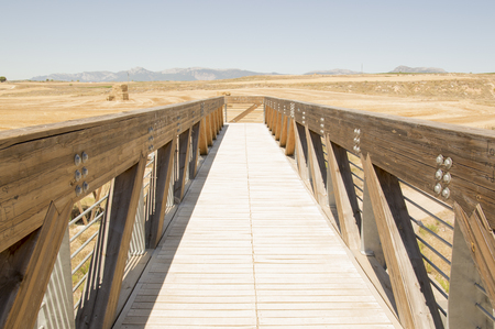 Road to Santiago from Los Arcos to LogroÃ±oの写真素材