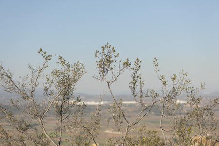 By the village of Vilafames in Castellonの写真素材