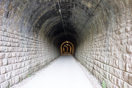 By the way green eyes black in the province of Castellónの写真素材