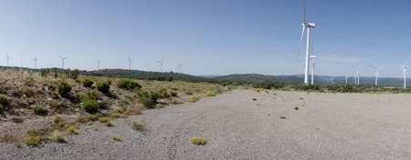 Green way black eyes in its passage by Barracas in Castellon