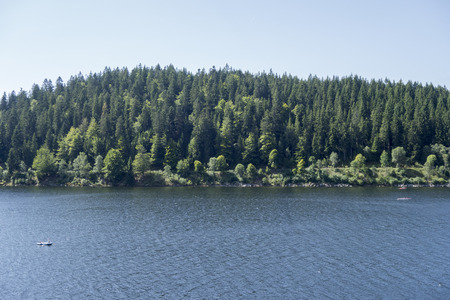 The Schluchsee lake in the German Black Forestの写真素材