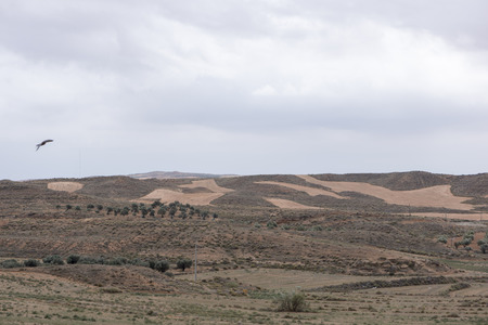 For the desert of the monegros in Teruelの写真素材