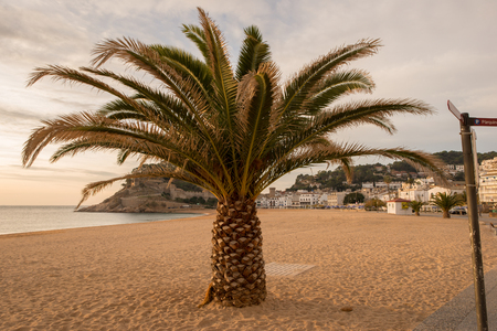 Sunrise in the village of Tossa de Mar, Costa brava, Gironaの写真素材