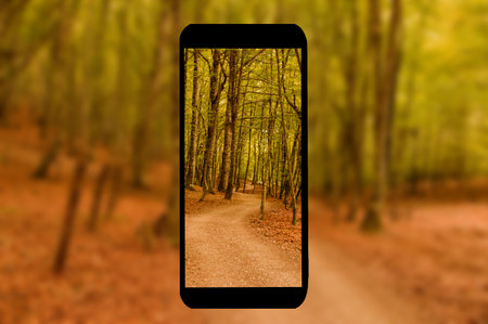 The silhouette of a mobile phone taking a photo to the forest
