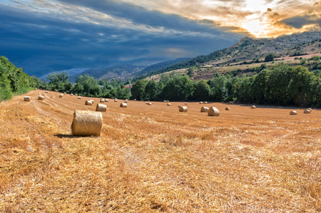Sunset on the road to Santiago in Navarra, Spainの写真素材