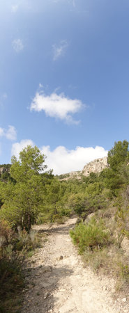The desert of the palms under the blue sky, Spain