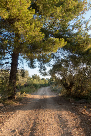 The road to Santiago and the via augusta in Castellon, Spainの写真素材