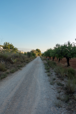 The road to Santiago and the via augusta in Castellon, Spainの写真素材