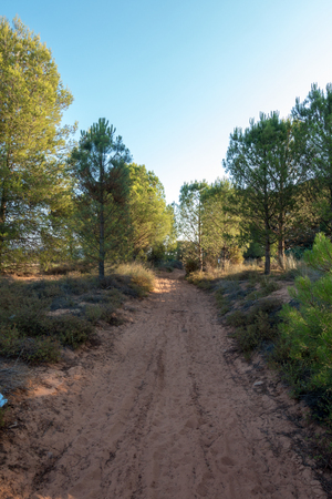 The road to Santiago and the via augusta in Castellon, Spainの写真素材