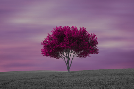 A lonely golden tree in the middle of the mountain, Spainの写真素材