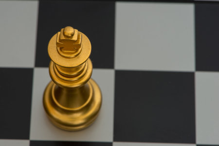The figure of the king on the chess board black and white