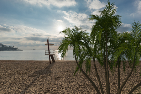 Palm trees with a beach and the sea in the background, Spainの写真素材