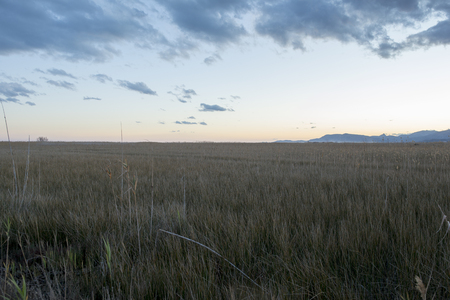 Sunset in the natural park of prat de cabanes, Spainの写真素材