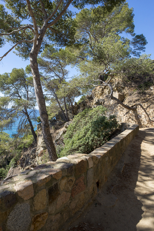 Round roads through Lloret de Mar, Costa brava, Spainの写真素材