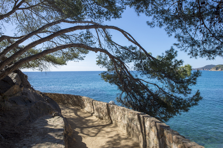 The village of Lloret de Mar next to the coast, Spainの写真素材