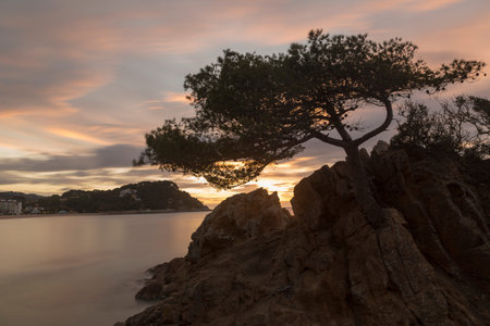 Fenals beach in Lloret de Mar at sunrise, Spain