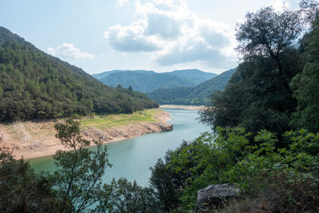 The tau swamp on the route of the ter, Spain
