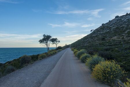 The green road of Oropesa del Mar, Spainの写真素材