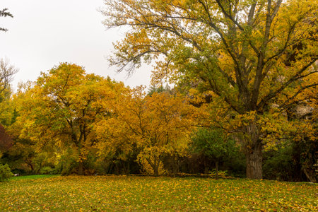 Paths next to Calatanazor dove in Soria, Spainの写真素材