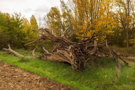 La Soria rural a cloudy autumn day, Spainの写真素材
