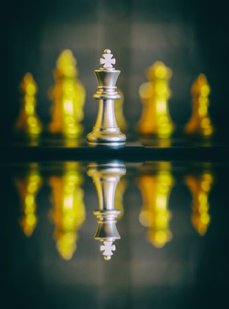 Several chess pieces and their reflection in the water, mounting