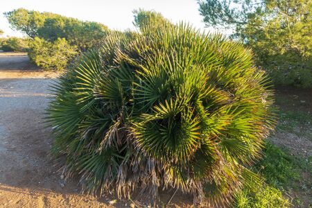 The coast of the renega a clear summer day, Spainの写真素材