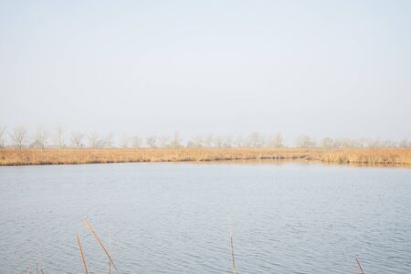 The natural park of the delta del ebro in Tarragona, Spainの写真素材