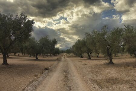 The via augusta by castellon at dawn, Spainの写真素材