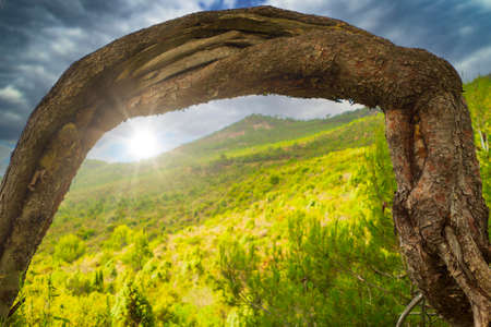 Rays of the sun during a sunrise in a mountain forest, Spainの写真素材