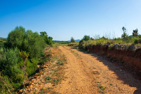 Landscape of the August way as it passes through Castellon, Spainの写真素材