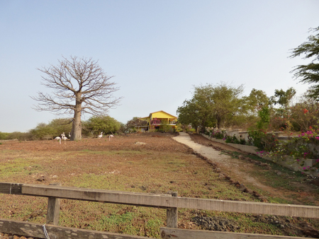 House at Senegalの写真素材