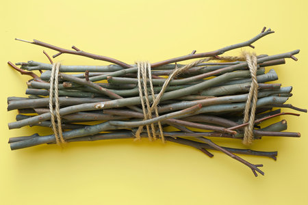 a bundle of many branches tied with rope on a bright backrounの素材
