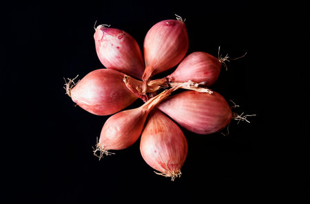 A beautiful bunch of shallots on a dark background , bulbs bright and copper  ,top view ,studio shot...