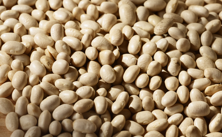 Dry and white beans background , studio shot ,top view , high contrast ,の写真素材