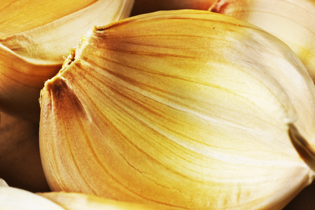 Close up of a beautiful  clove of garlic , bright and saturated colors to emphasize the texture.の写真素材