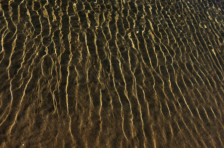 Beautiful sea waves in a shallow waterの写真素材