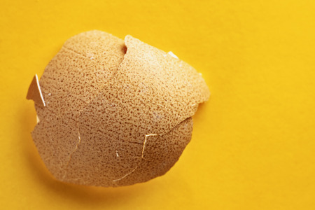 Broken chichen eggshell close up on a colored background ,
 brown surface with dark brown spotsの写真素材