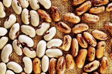 Heap of white beans and kidney beans on brown background ,creamy white cannellini -type beans with reddish spot around the hilum and red beans also called borlotti or pintoの写真素材