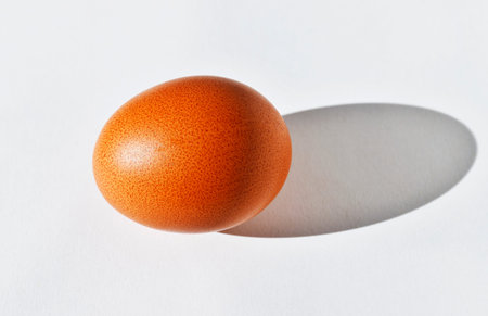 Uncooked egg on white background