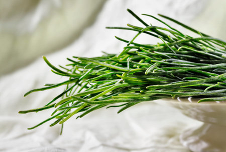 Bunch og agretti -salola soda or opposite -leaved saltwort -on white plate, fresh uncooked green...