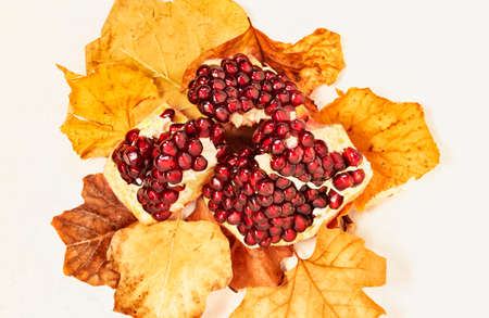 Opened fruits of pomegranate on yellow autumnal leavesの写真素材