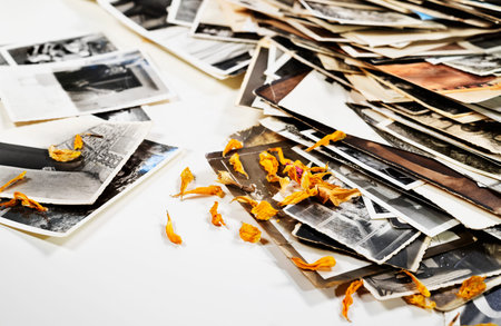 Pile of old black and white photos and yellow dried petals, romantic activity, moment dedicated to memoriesの写真素材