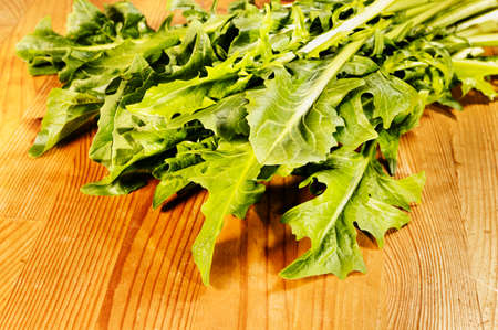 Fresh green leaves of chicory on wooden table, long leaves of chicory cataloniaの写真素材